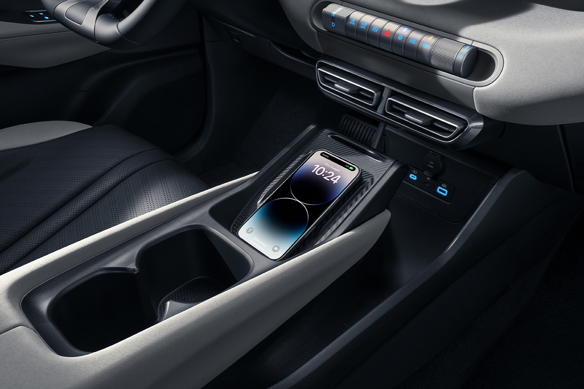 dolphin_interior_0000