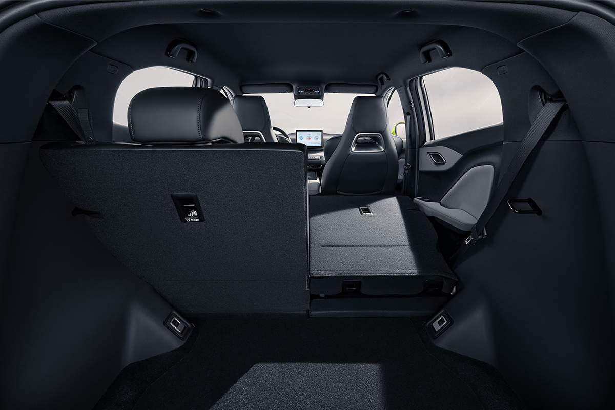 dolphin_interior_0001