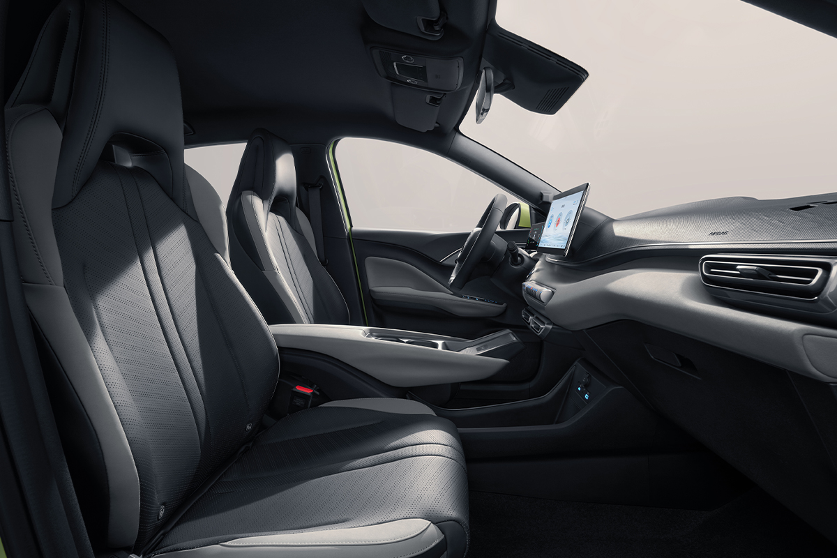 dolphin_interior_0010