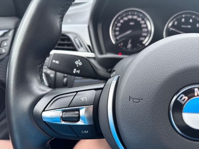 BMW X2 sDrive 18 i M Sport sDrive18i EU6d SDRIVE18I M Sport