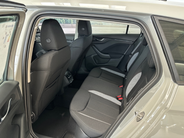 Skoda Scala Selection 1,0 TSI 85 kW 7-Gang automat.